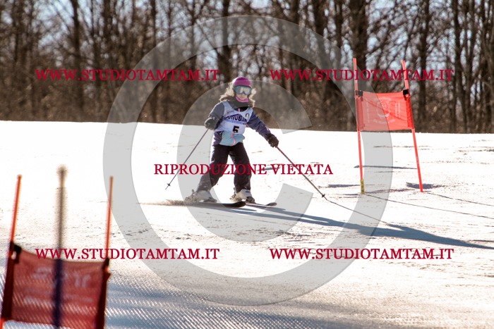 MAT_5127.jpg