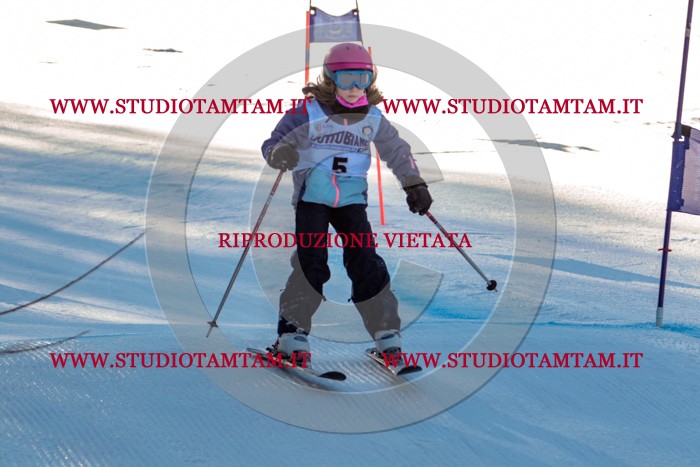 MAT_5130.jpg