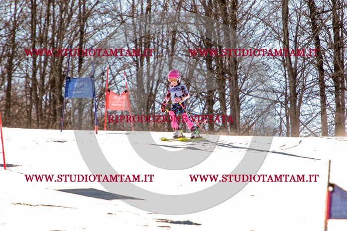 MAT_5132.jpg