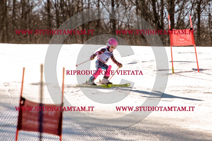 MAT_5133.jpg