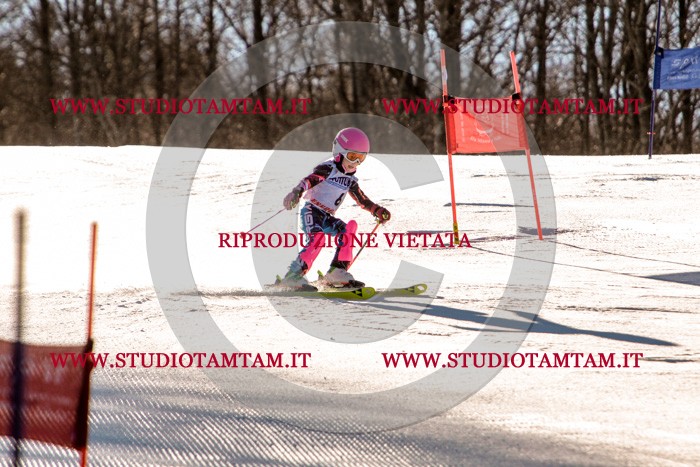 MAT_5134.jpg
