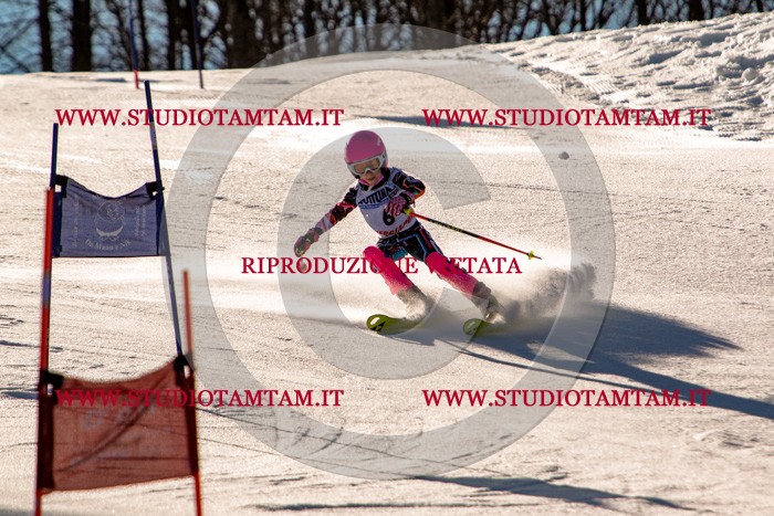 MAT_5135.jpg