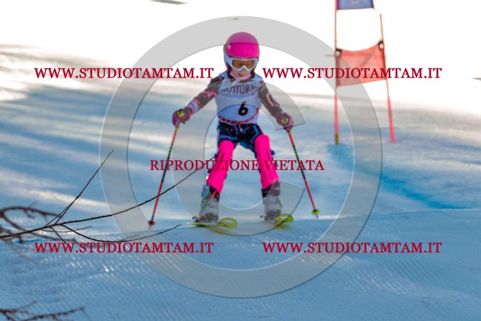 MAT_5137.jpg