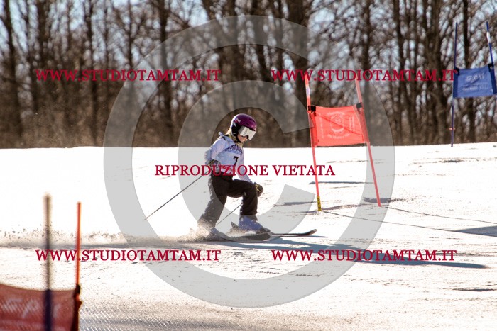 MAT_5139.jpg
