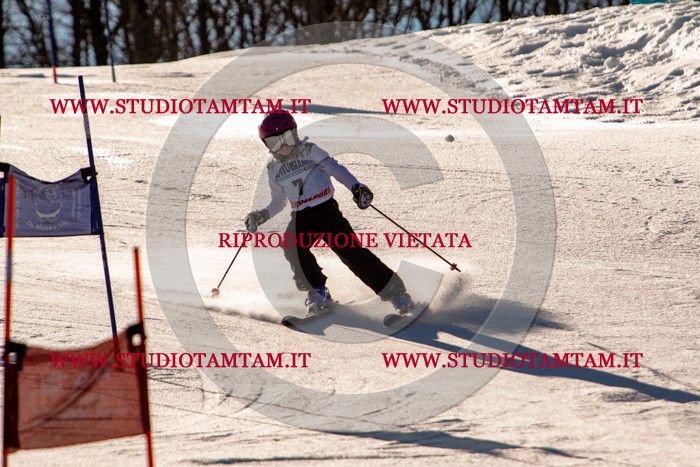 MAT_5141.jpg