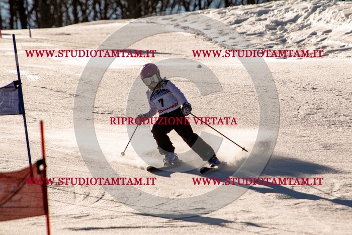 MAT_5142.jpg