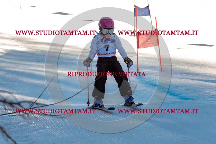 MAT_5143.jpg