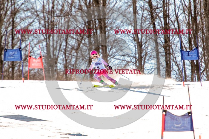 MAT_5146.jpg