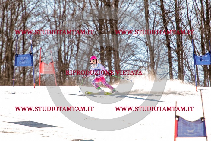MAT_5147.jpg