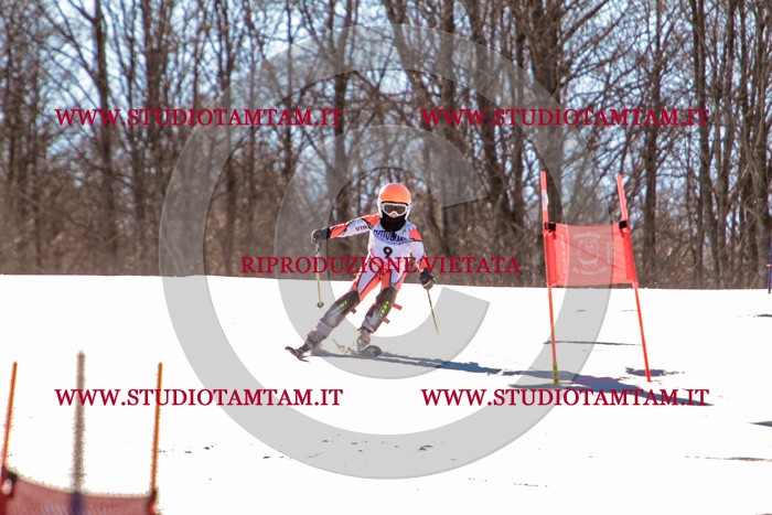 MAT_5157.jpg