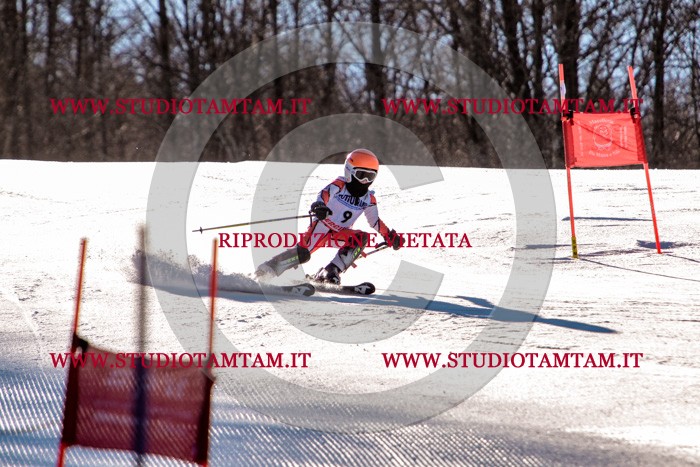 MAT_5158.jpg