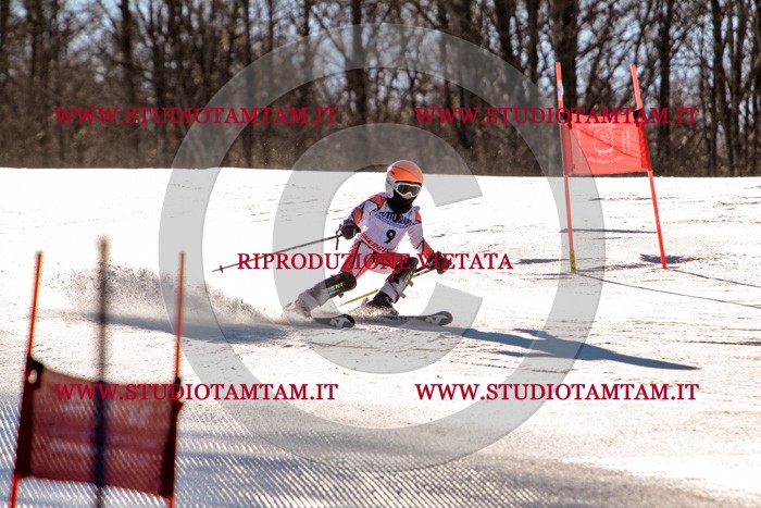 MAT_5159.jpg