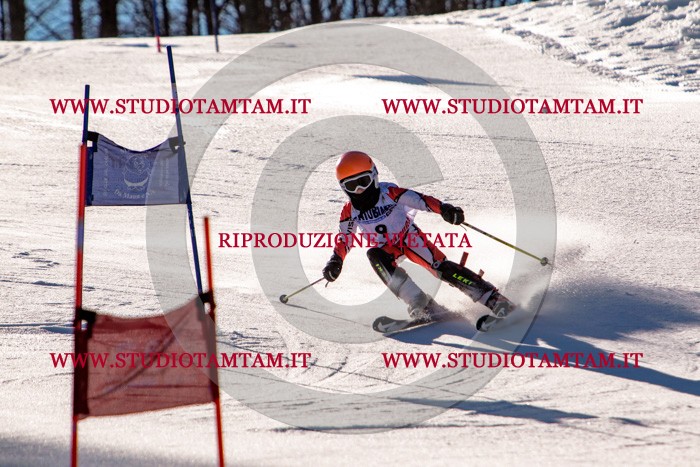 MAT_5161.jpg