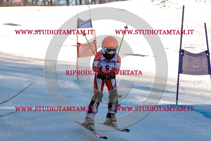 MAT_5164.jpg