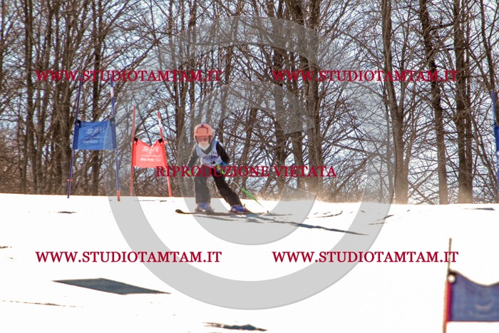 MAT_5167.jpg