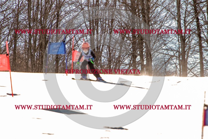 MAT_5168.jpg