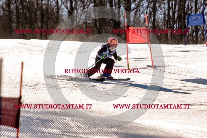 MAT_5170.jpg