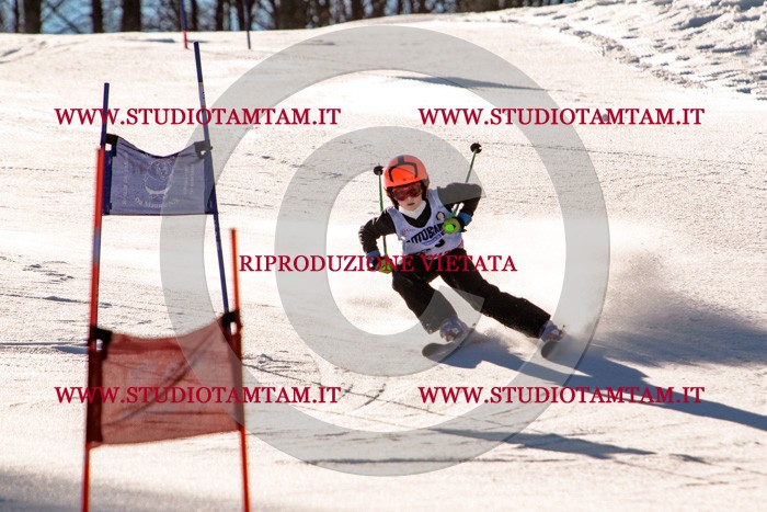 MAT_5171.jpg