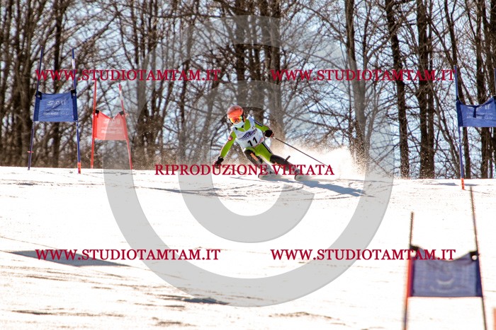 MAT_5175.jpg