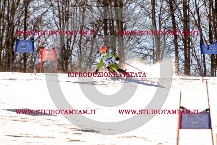 MAT_5176.jpg
