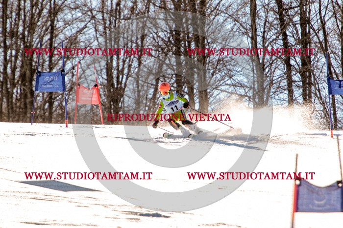 MAT_5177.jpg