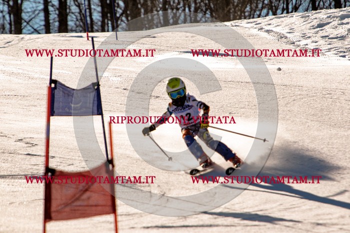 MAT_5190.jpg