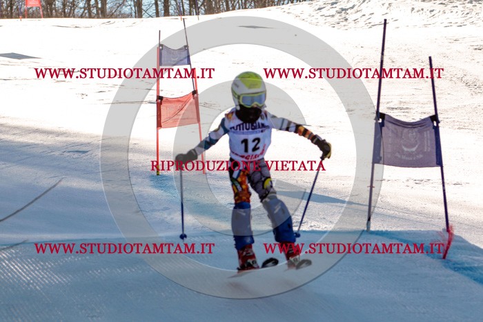 MAT_5194.jpg