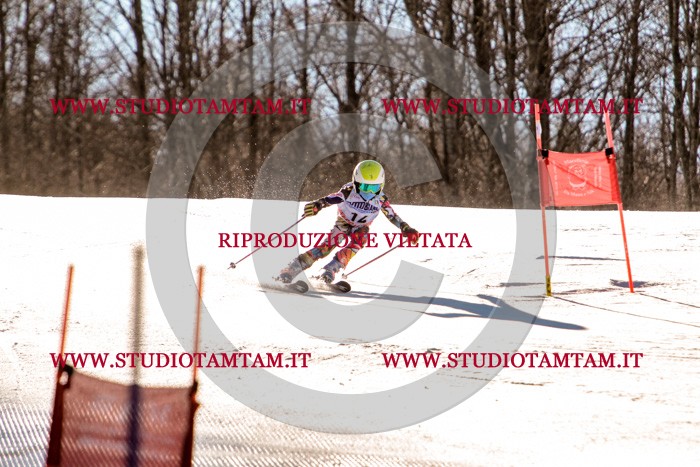 MAT_5198.jpg