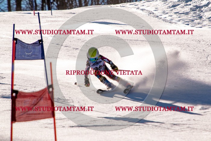 MAT_5202.jpg