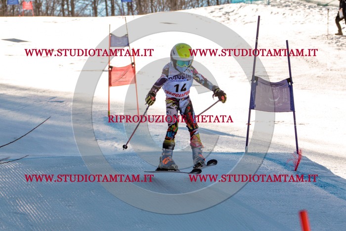 MAT_5203.jpg