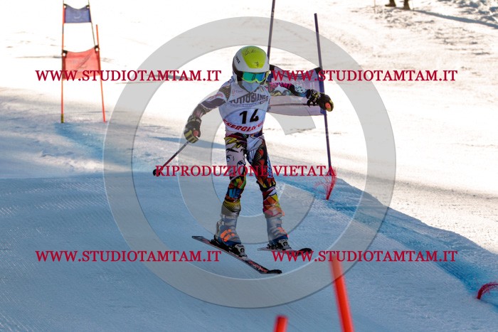MAT_5204.jpg