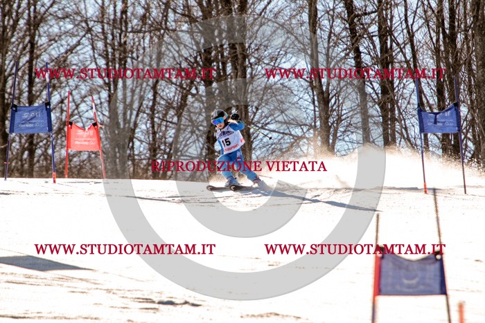 MAT_5206.jpg