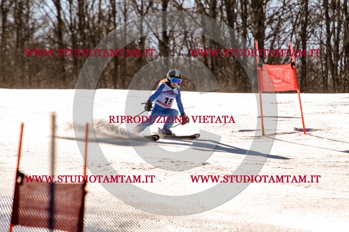 MAT_5208.jpg
