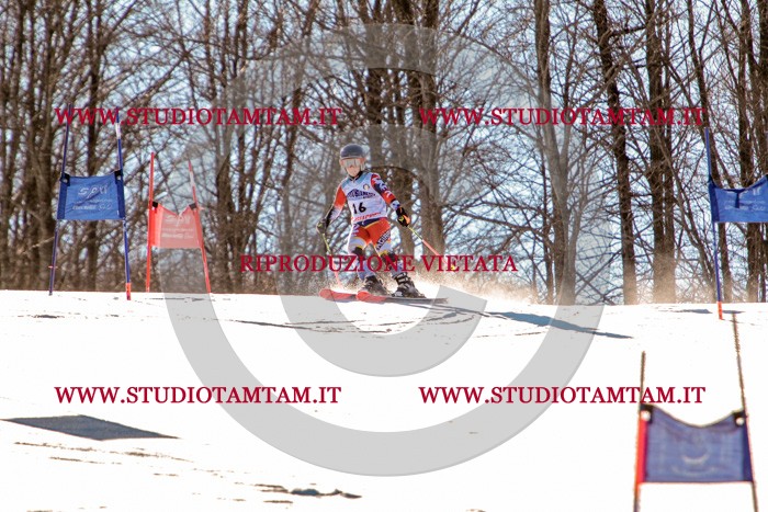 MAT_5215.jpg