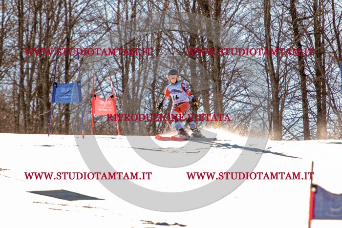MAT_5216.jpg