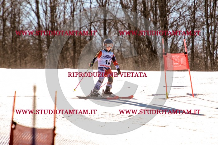 MAT_5217.jpg