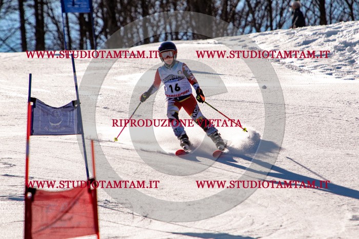 MAT_5219.jpg