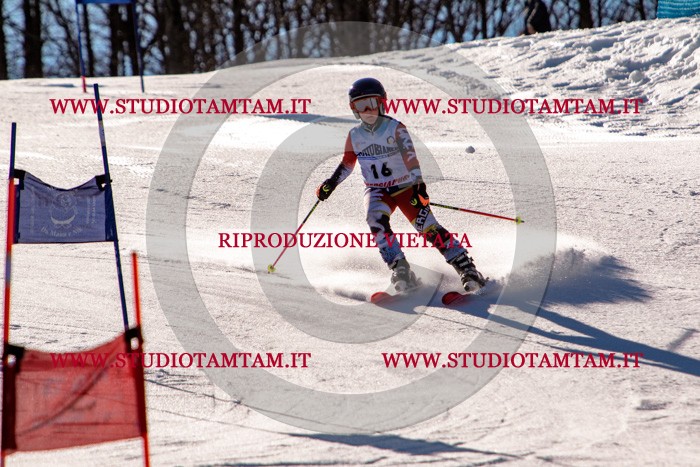MAT_5220.jpg