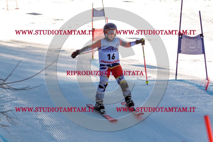 MAT_5222.jpg