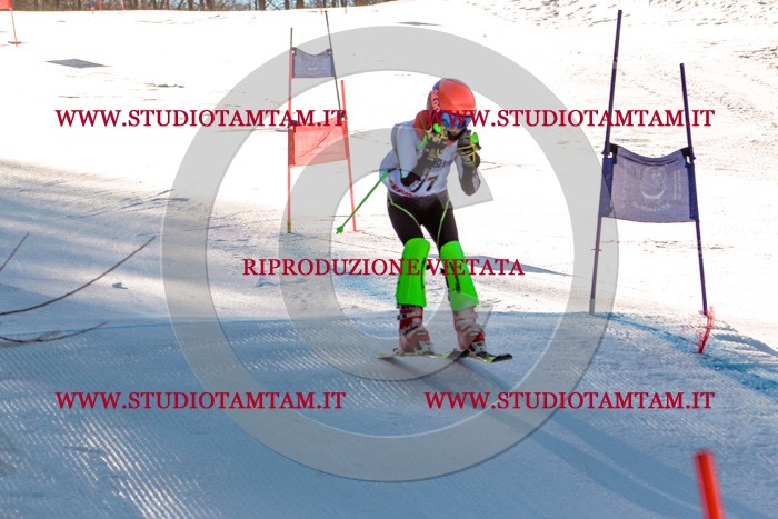 MAT_5231.jpg