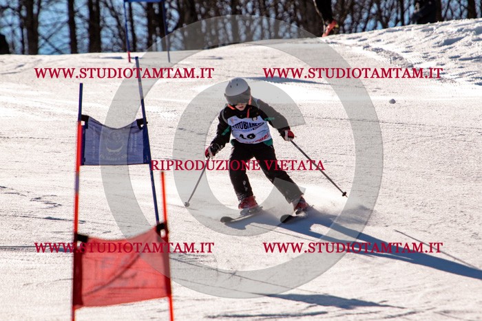MAT_5239.jpg