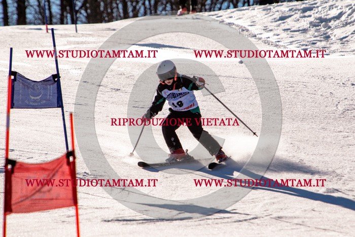 MAT_5240.jpg