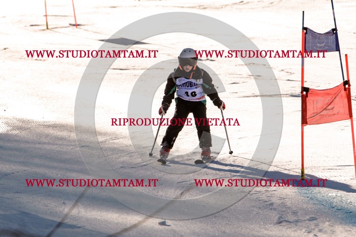 MAT_5242.jpg