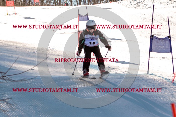 MAT_5244.jpg