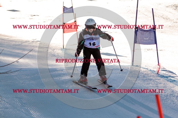 MAT_5245.jpg