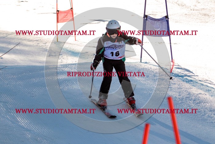 MAT_5246.jpg