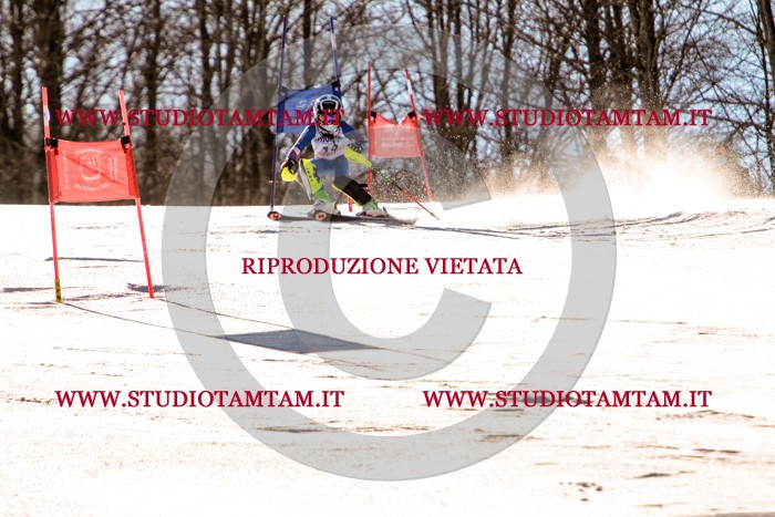 MAT_5248.jpg