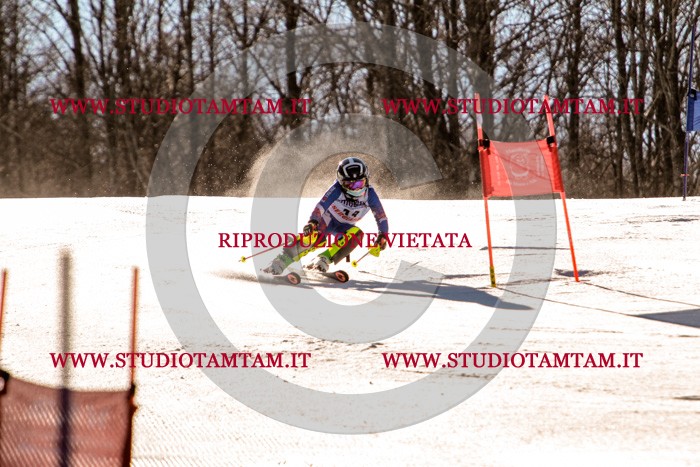 MAT_5249.jpg