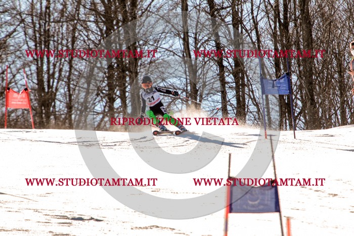 MAT_5259.jpg