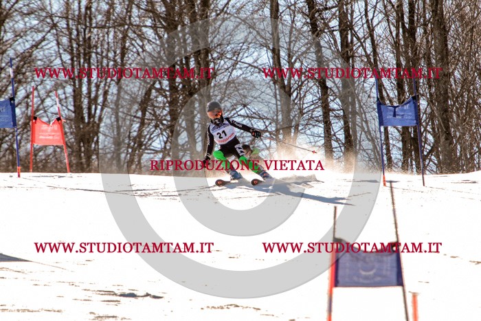 MAT_5260.jpg